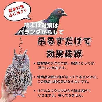 【もう喧嘩にならない】鳩ビーム&鳩ホルダー Amazon.co.jp: 鳥よけ 鳩よけ 高強度反射 撃退 鳥対策グッズ